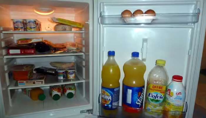 Refrigerator Hacks: चुकूनही फ्रीजमध्ये ठेवू नका &#039;या&#039; 3 गोष्टी नाही तर...
