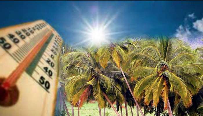 Konkan News : पुढच्या दोन दिवसांत 'या' वेळेत घराबाहेर पडू नका; कोकणवासियांसाठी हवामान विभागाचा इशारा 