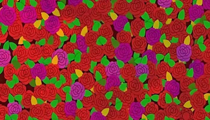 Optical Illusion: गुलाबात लपलेली अंगठी शोधून दाखवा, तुमच्याकडे 30 सेकंदाची वेळ 