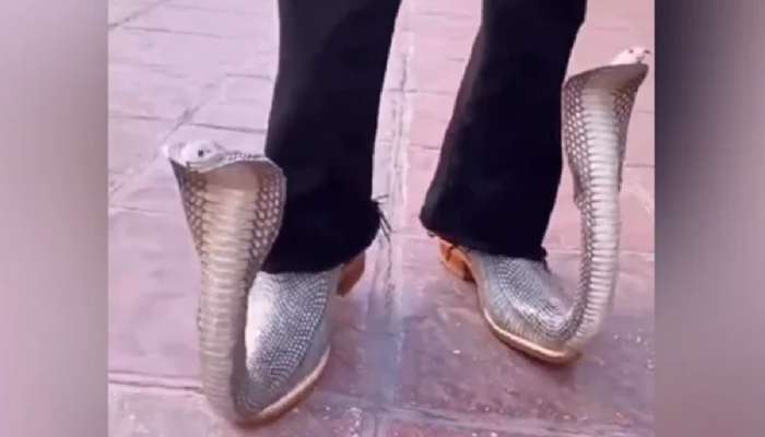 Snake Shoes: कोब्रा शूज घालून रस्त्यावर फिरत होता; प्रसिद्ध उद्योजकाने शेअर केला Video