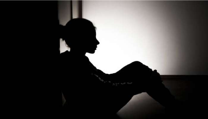 Buldhana Crime: बलात्कार पीडितेनंच साक्ष फिरवली; कोर्टाने अशी शिक्षा सुनावली की...
