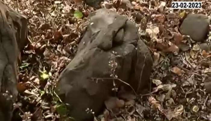 nagpur lohyug news remains of megalithic culture found see the full story