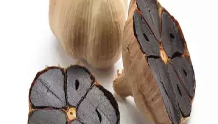  Health Tips, black garlic benefits, Lifestyle, Superfood, Health Tips in Marathi, आरोग्य, आरोग्य बातम्या, मराठी आरोग्य बातम्या, हेल्थ टिप्स, मराठी हेल्थ टिप्स, निरोगी आरोग्य, Marathi News, Latest Marathi News, Health News, Latest Health News, Fitness Tips, आरोग्य, स्वास्थ, हेल्थ, आरोग्य टिप्स, Health Care Tips, marathi news, live marathi news, latest marathi news, breaking news in marathi, today news in marathi, zee marathi news, current news in marathi, today's latest news in marathi, latest breaking news