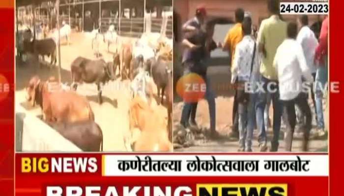 Kolhapur Kaneri 53 Cow Died