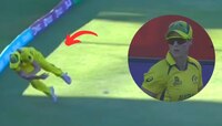 Ellyse Perry Video: चीते की चाल, बाज की नज़र और...पोरीची फिल्डिंग