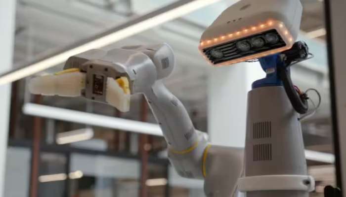Google ने 2 हजार कर्मचाऱ्यांनंतर आता रोबोट्सना कामावरुन काढलं; करायचे &#039;हे&#039; काम