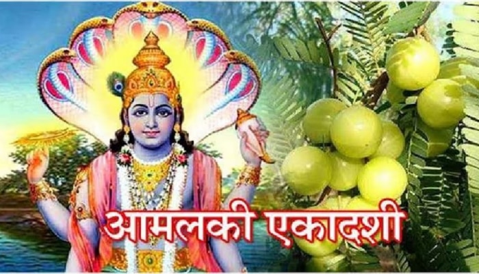  Amalaki Ekadashi 2023 : आमलकी एकादशीला 3 अतिशय शुभ योग, &#039;ही&#039; एक चूक करू नका!