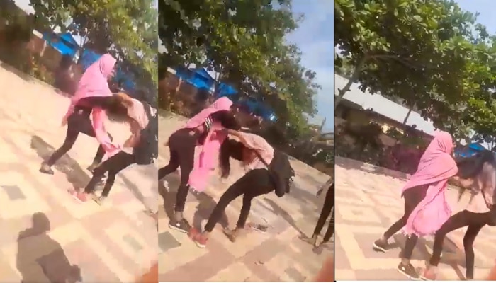  Girl Fight Video : दे धपाधप! बॉयफ्रेंडसाठी दोन तरुणींचा झिंज्या उपटत तुफान राडा 