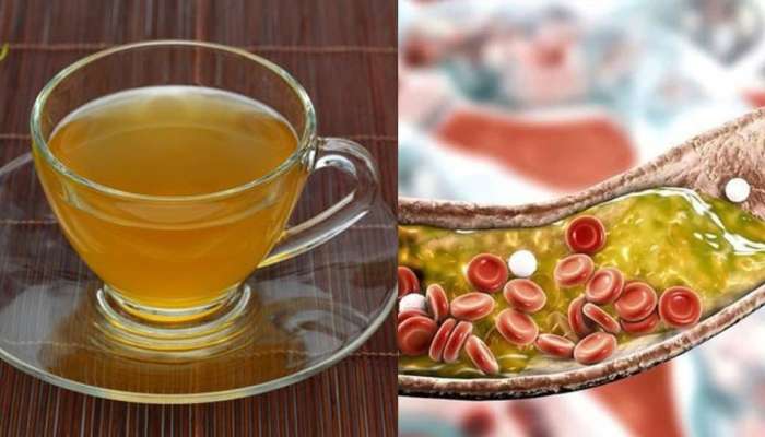 Gohyah Tea: Cholesterol वर रामबाण औषध! घरच्या घरी बनवा कारल्याचा चहा, जाणून घ्या असंख्य फायदे