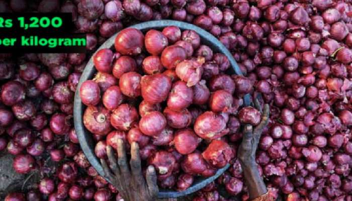 Onion Price: इथं कांद्याला सोन्याचा भाव; एका किलोसाठी मोजावे लागतात 1200 रुपये