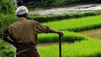 Farmer Sells Fresh Air: आयडीयाची कल्पना! हा शेतकरी विकतो शुद्ध हवा