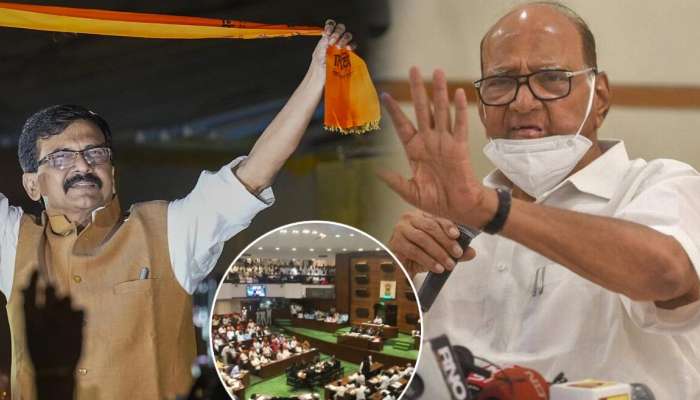 Sharad Pawar Support Sanjay Raut: &#039;चोरमंडळ&#039; प्रकरणात शरद पवारांकडून राऊतांची पाठराखण! म्हणाले, &quot;संजय राऊतांचे विधान...&quot;