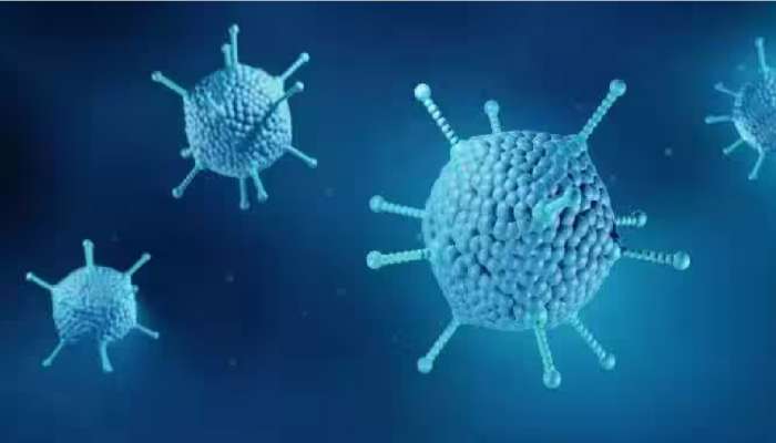 Adenovirus : होळीच्या तोंडावर भारतात नवा व्हायरस; लहान मुलांना अधिक धोका