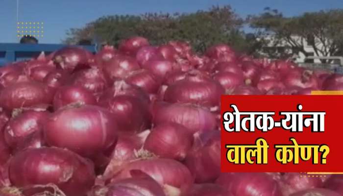Onion : कांद्याने केला वांदा, शेतकऱ्यांच्या डोळ्यात पाणी