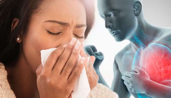 H3N2 Symptoms 2023: सर्दी-खोकला, घशात खवखवीचा तुम्हालाही त्रास होत असेल तर...; भारत सरकारने जारी केली माहिती