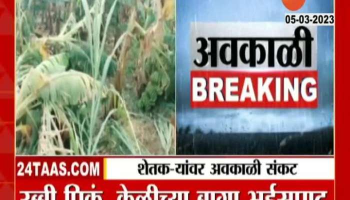  Dhule Crop loss Another crisis for farmers