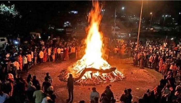 Holika Dahan 2023: होलिका दहनात चुकूनही 'या' झाडांचा वापर करु नका; होईल मोठं नुकसान
