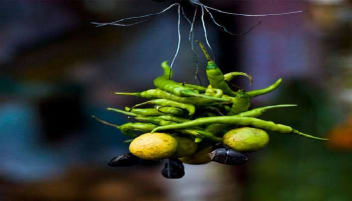 Limbu-Mirchi Totake : दारावर लिंबू मिरची बांधण्यामागे आहे हे मोठं कारण; जाणून व्हाल हैराण