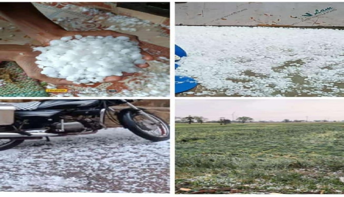 धुळ्यात शेतपीकाला गारपीटीचा तडाखा, रस्त्यावर गारांचा खच...रब्बी पिकांचं अतोनात नुकसान धुळ्यात शेतपीकाला गारपीटीचा तडाखा, रस्त्यावर गारांचा खच...रब्बी पिकांचं अतोनात नुकसान