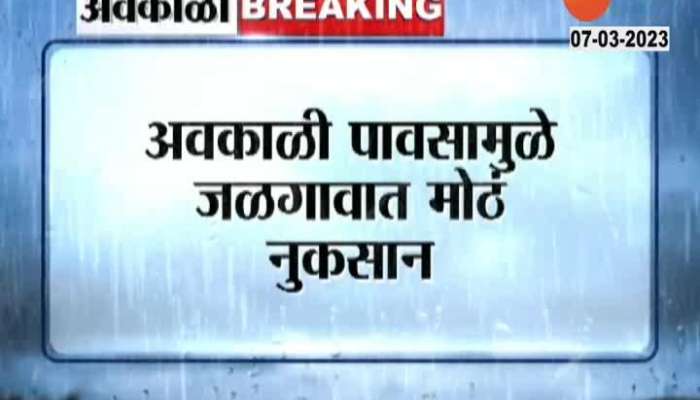 Heavy loss to farmers in Jalgaon due to rain