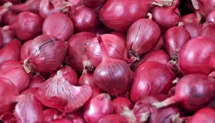 Farmer : कांदा आणि बटाटा शेतकऱ्यांसाठी मोठा निर्णय,  270 कोटी रुपयांचे पॅकेज जाहीर