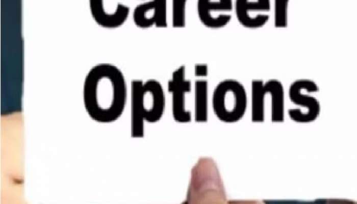 commerce career options 