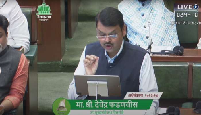 Maharashtra Budget 2023: फडणवीसांच्या &#039;त्या&#039; घोषणेनंतर सत्ताधारी आमदारांचा एकच जल्लोष