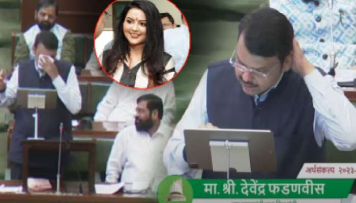 Maharashtra Budget 2023: 