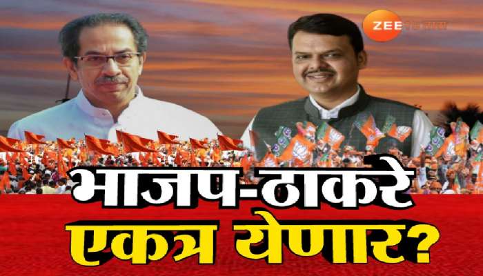 Maharashtra Politics: भाजप - ठाकरे एकत्र येणार? युतीबाबत संजय राऊत यांचे मोठं वक्तव्य 