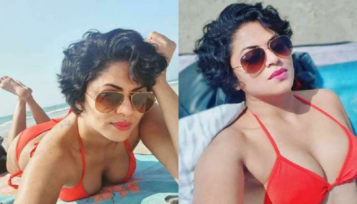 &#039;अन् मी हॉटही तितकीच...&#039;, सावळ्या वर्णावरून ट्रोल करणाऱ्याला Kavita Kaushik चे सडेतोड उत्तर