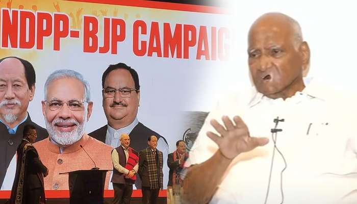 NCP Support BJP: &quot;आमच्या 7 आमदारांनी सांगितलं, भाजपाबरोबर जाणार नाही पण...&quot;; पवारांनी सांगितलं BJP ला पाठिंबा देण्याचं कारण