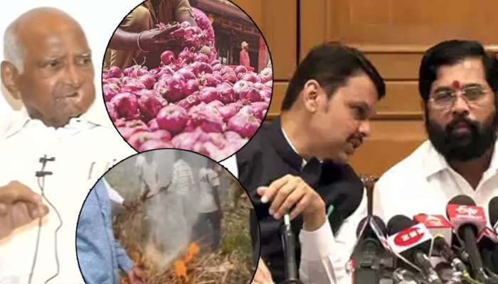 Onion Price Issue: कांदाप्रश्नावरुन शरद पवारांचा शिंदे सरकारला टोला! म्हणाले, &quot;महाराष्ट्रामध्ये देवेंद्र फडणवीसाहेब...&quot;