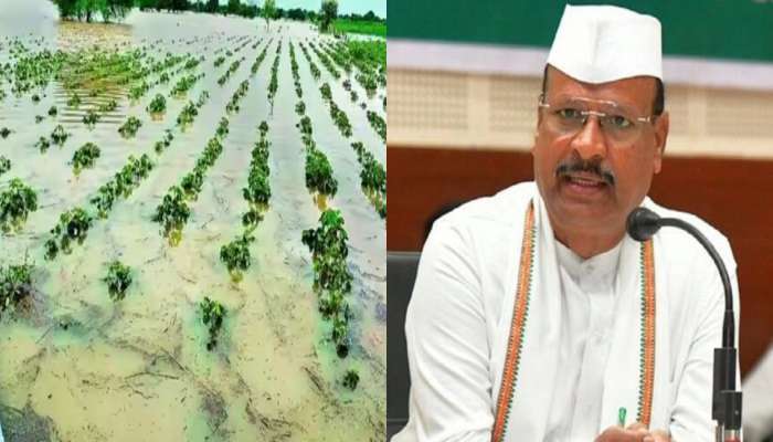 अजब कारभार! मोठं नुकसान झालेल्या तालुक्यालाच पीक नुकसानीच्या अहवालातून वगळले