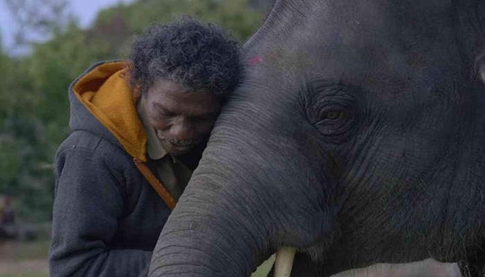 Oscars 2023 Winners: ऑस्करविजेत्या The Elephant Whisperers मधून मांडलीये असामान्य कथा, पाहा VIDEO 