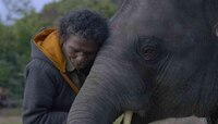 Oscars 2023: ऑस्करविजेत्या The Elephant Whisperers मधून मांडलीये असामान्य कथा,