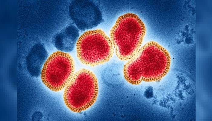 कोरोनाप्रमाणेच घातक ठरतोय नवा H3N2 Virus, अशी घ्या काळजी