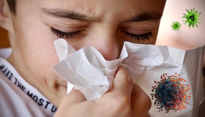 काळजी घ्या! H3N2 विषाणूचा महाराष्ट्रात कहर, पुण्यानंतर &#039;या&#039; शहरात वाढतायेत रुग्ण