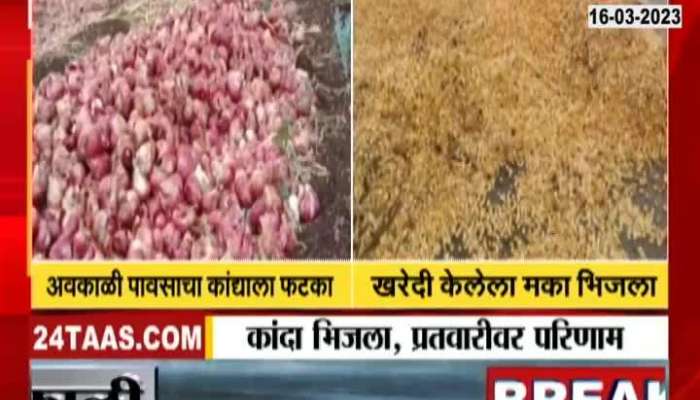 Manmad Onion Loss due to unseasonal rain