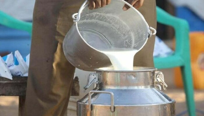 Milk Adulteration : राज्यात भेसळयुक्त दूधाचा पूर; लहानग्यांच्या जीवाशी खेळतंय कोण?