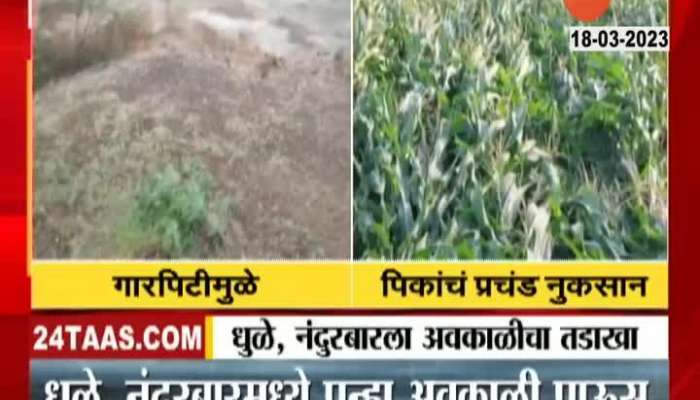 Dhule Report On Crop Loss 