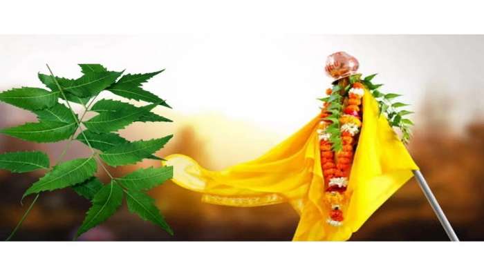 Gudi Padwa 2023: तुम्हाला माहितीय का? गुढीपाडव्याला कडुलिंबाची पाने का खाल्ली जातात? 