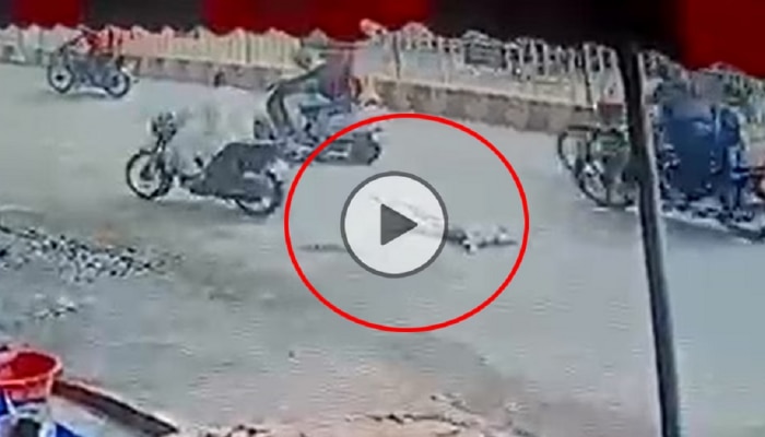 CCTV Footage Viral:निर्दयतेचा कळस! कुत्र्याला दुचाकीच्यामागे बांधून फरफटत नेलं, CCTV व्हायरल