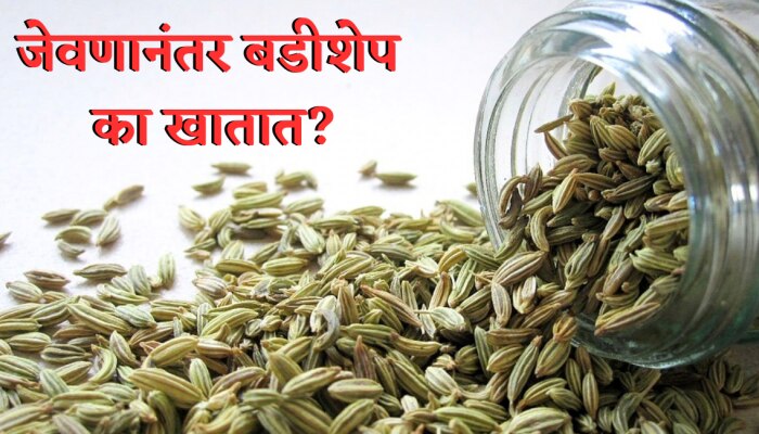 Health Tips: जेवणानंतर बडीशेप का खातात? जाणून घ्या फायदे! Health Tips: जेवणानंतर बडीशेप का खातात? जाणून घ्या फायदे!