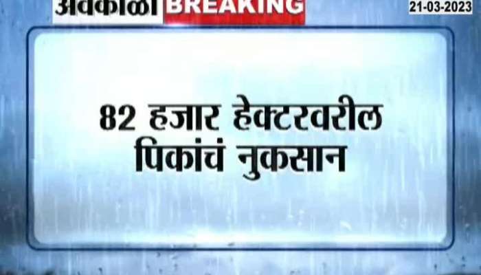 Marathwada Rain video Unseasonal rains in Marathwada 