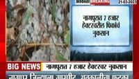 Nagpur Rain video | नागपूर जिल्ह्याला गारपीट, गहू, हरभरा, फळपिकं भाजीपालाचं नुकसान