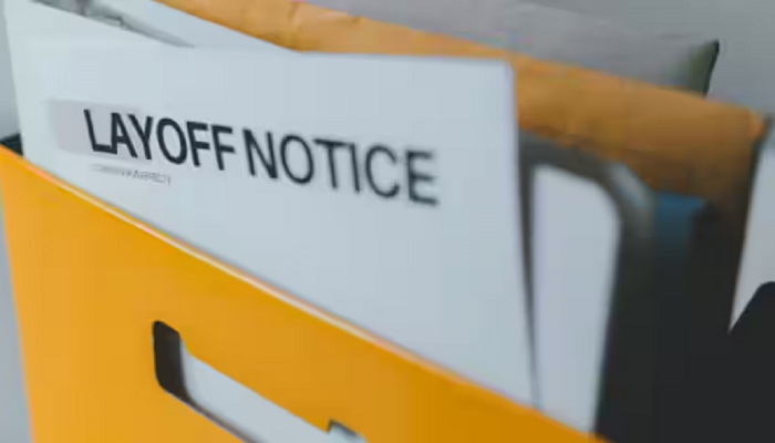 Amazon Layoffs : 'या' बड्या ई- कॉमर्स कंपनीत पुन्हा नोकरकपात; 9000 हून अधिक नोकऱ्या धोक्यात 