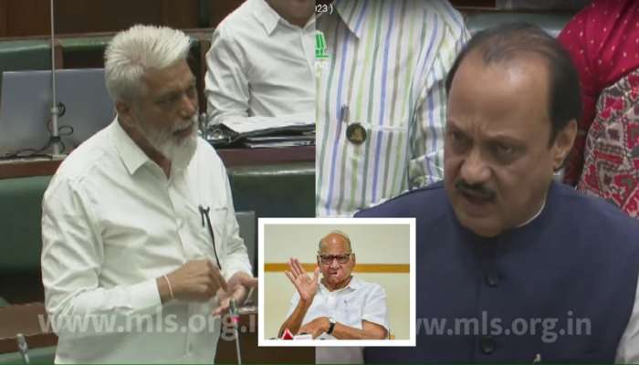 Maharashtra Assembly: 