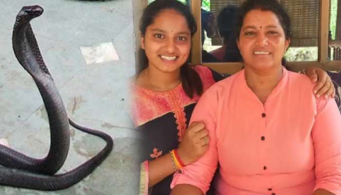Cobra Bite Women: कोब्रा चावल्यानंतर आईचा प्राण वाचवण्यासाठी मुलीने तोंडाने चोखून काढलं विषारी रक्त; दवाखान्यात गेल्यानंतर...
