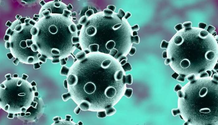 Coronavirus : तीन कोरोना रुग्णांचा मृत्यू तर महाराष्ट्रात रुग्णांचा आकडा वाढला