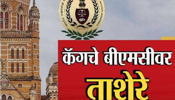 BMC : मुंबई महापालिकेत मोठा भ्रष्टाचार, आकडेवारी पाहून डोळे फिरतील